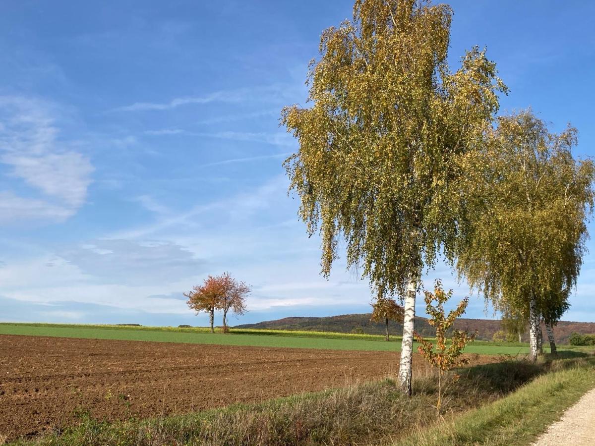 Ferienwohnung Franken Hallerndorf Exteriér fotografie